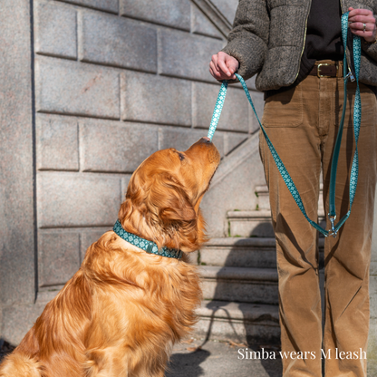 Multifunction Dog Leash - Forest Gems