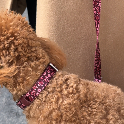 Dog Collar - Love in Bloom