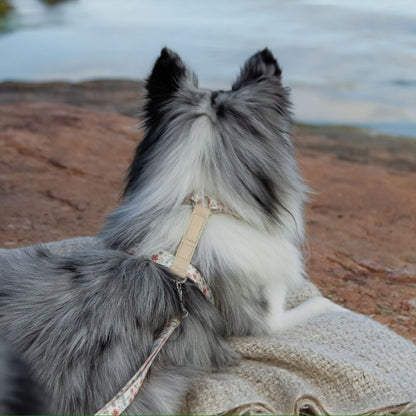 Dog Harness - Midsummer