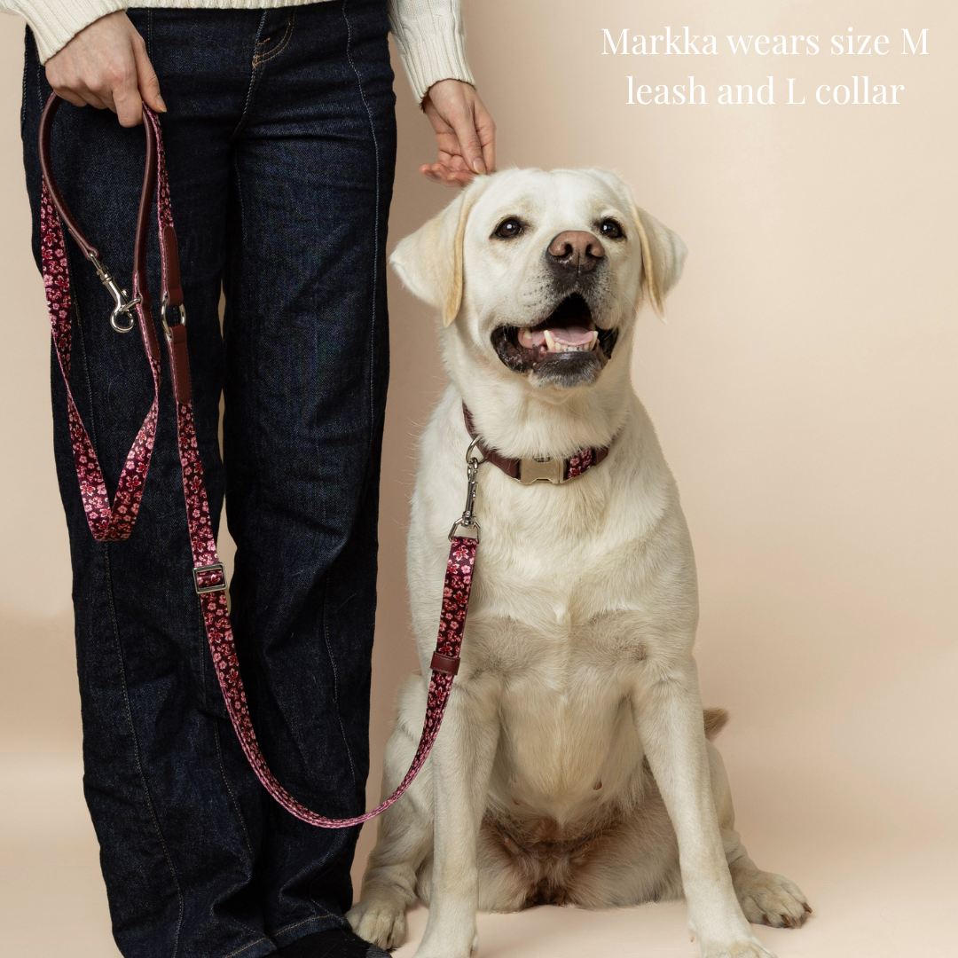 Dog Collar - Love in Bloom