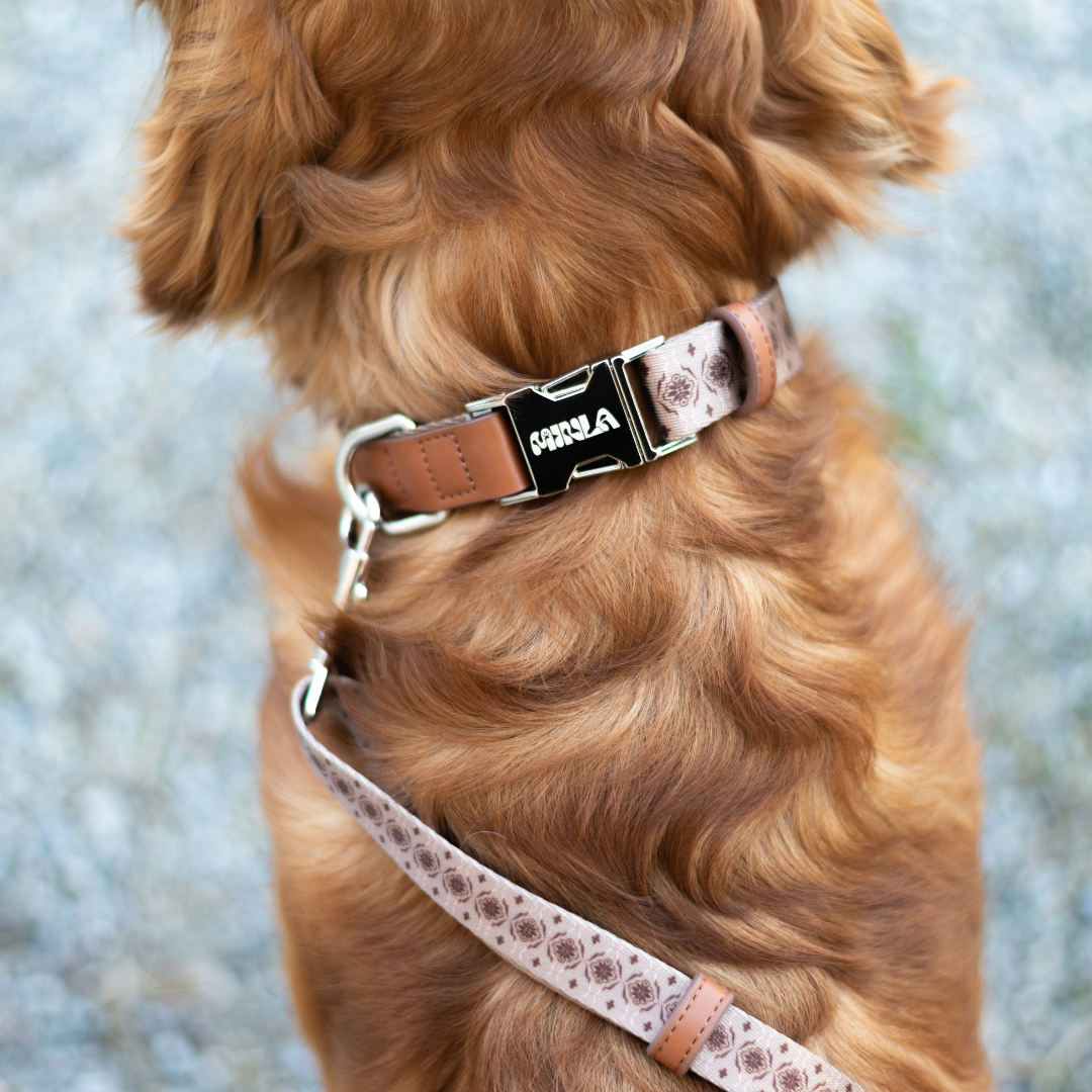 Dog Collar - Timeless Mocha