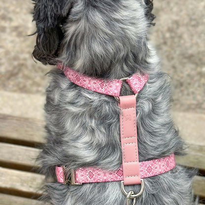 Dog Harness - Sicily
