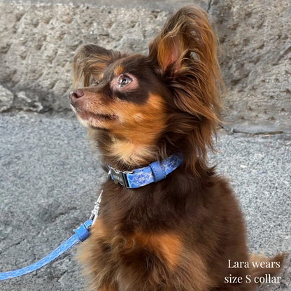 Dog Collar - Cotton Sky