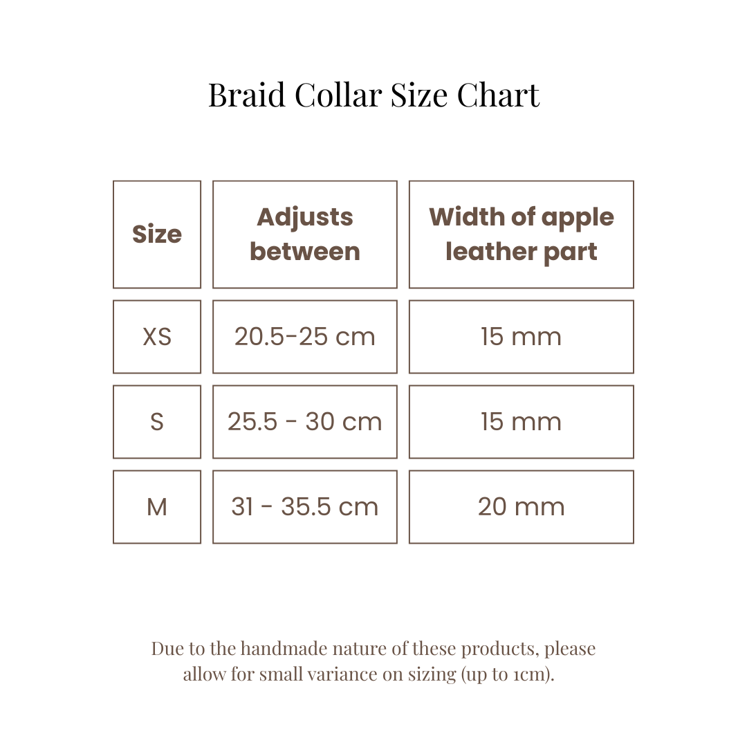 Braid koiran kaulapanta - Petal