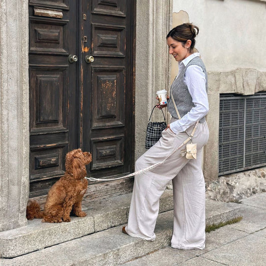 Multifunction Dog Leash - Midsummer