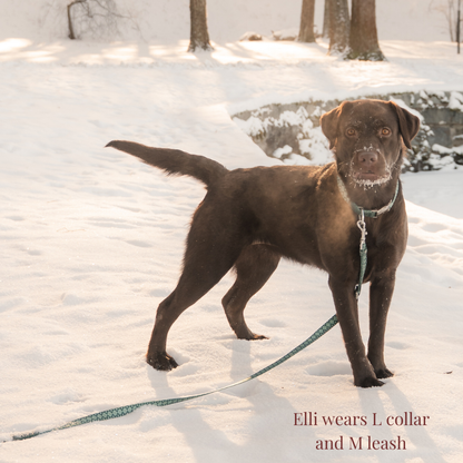 Multifunction Dog Leash - Forest Gems