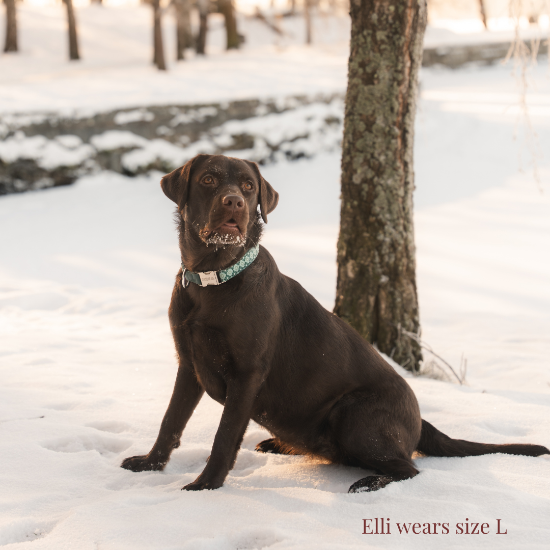 Koiran kaulapanta - Forest Gems