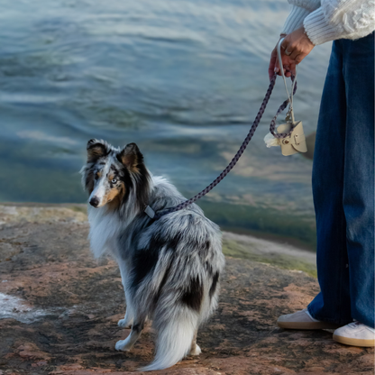 Poop Bag Holder Grey