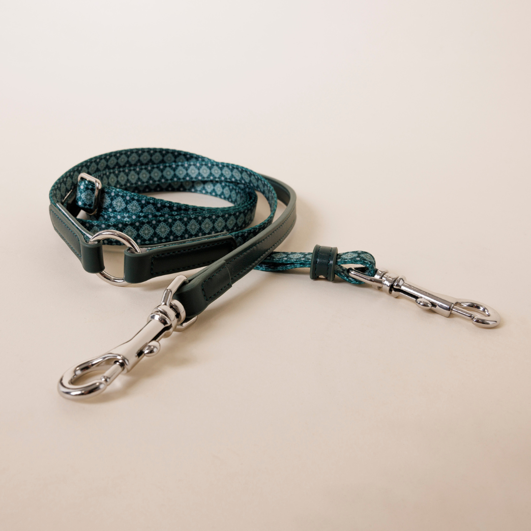Multifunction Dog Leash - Forest Gems
